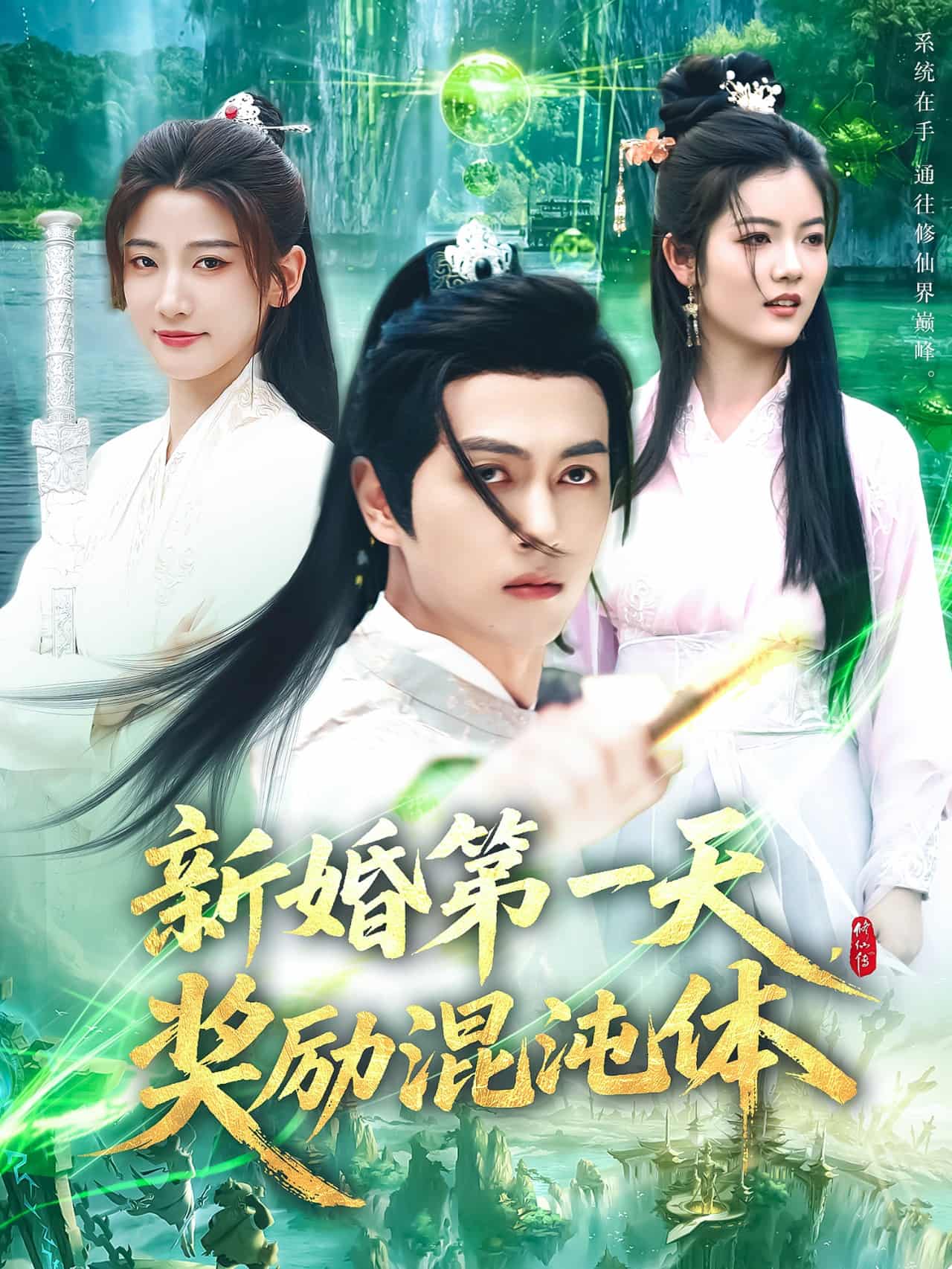 新婚第一天,獎勵混沌體海報