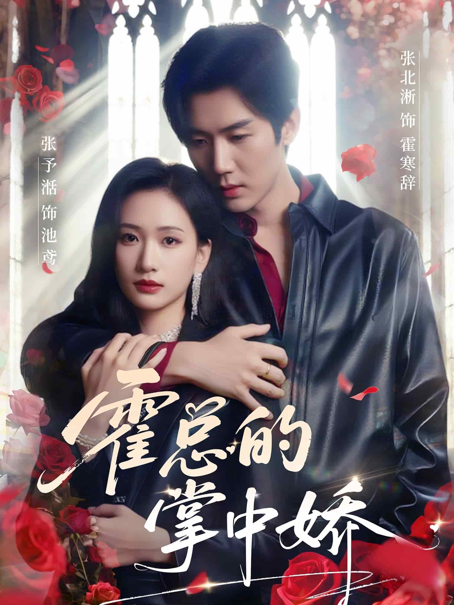 霍總的掌中嬌海報