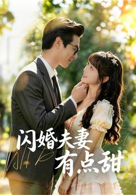 閃婚夫妻有點甜海報