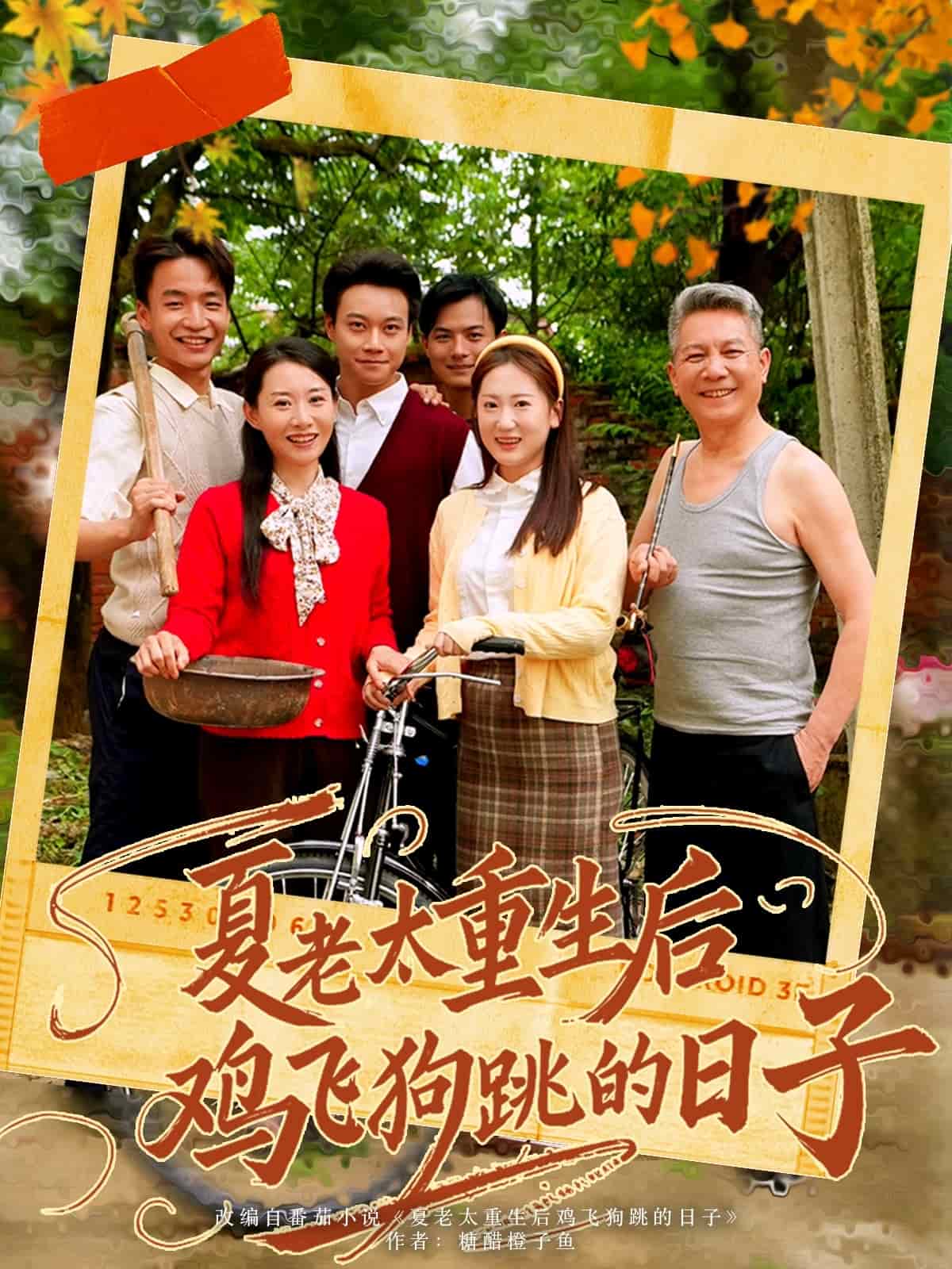 夏老太重生後雞飛狗跳的日子海報