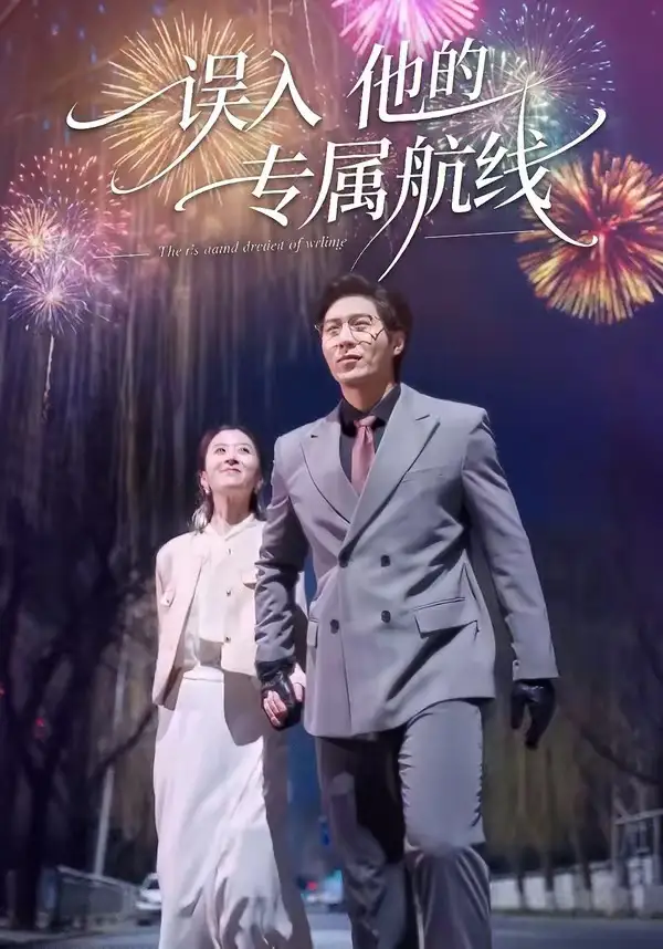 誤入他的專屬航線海報