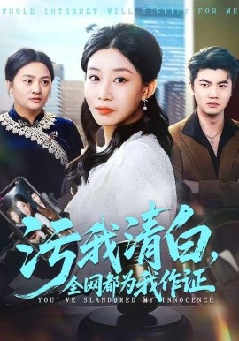 汙我清白,全網都為我作證海報