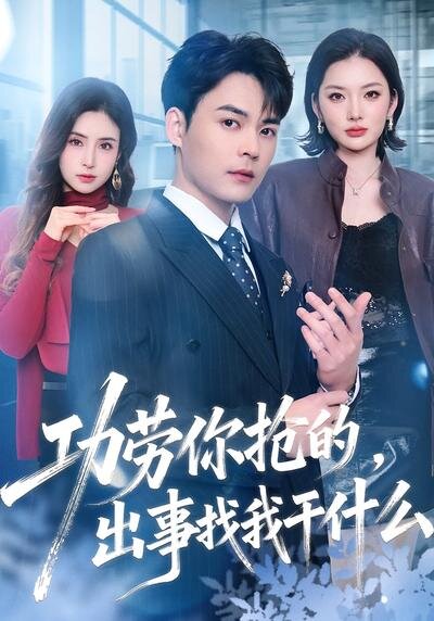 功勞你搶的,出事找我幹什麼海報
