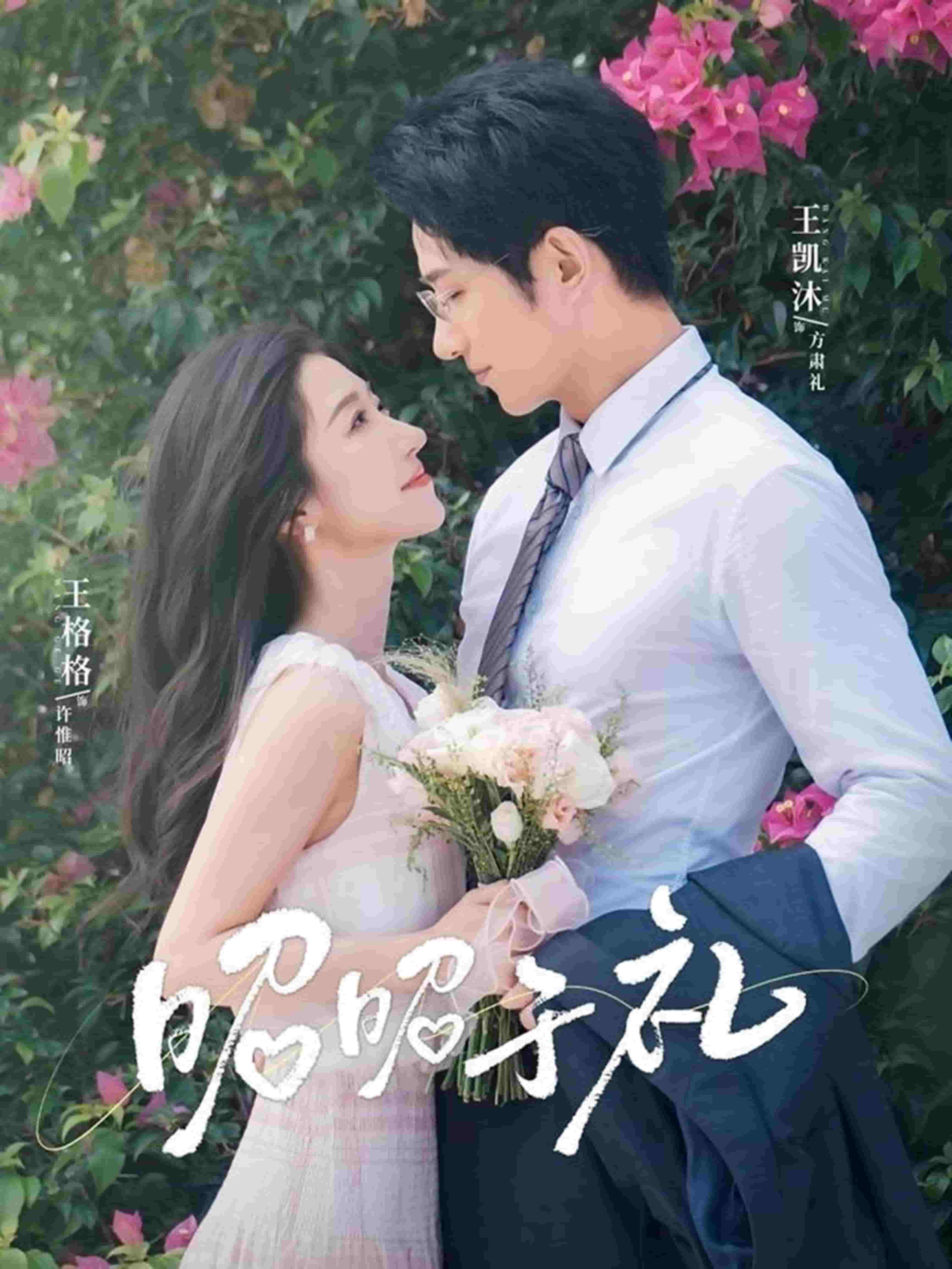 昭昭於禮海報