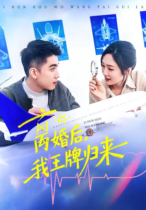 離婚後,我王牌歸來海報