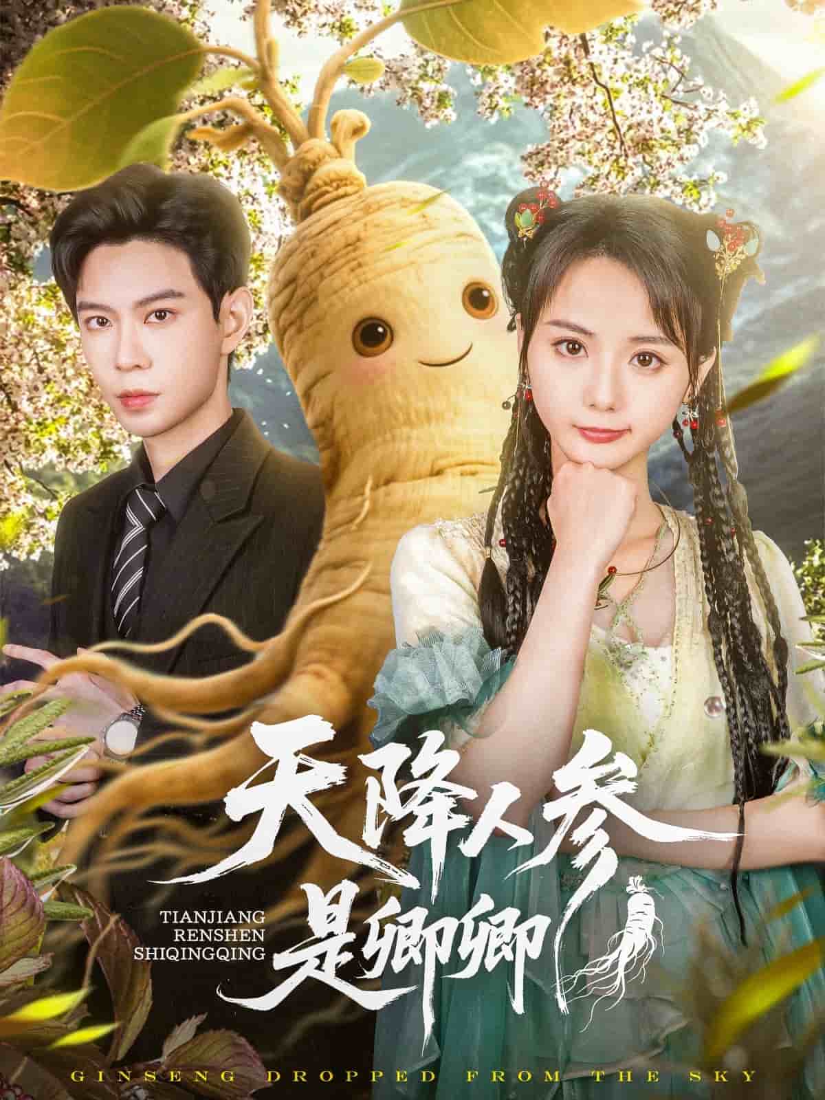 天降人參是卿卿海報