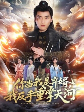 你當我是棄婿,我反手重掌天河海報