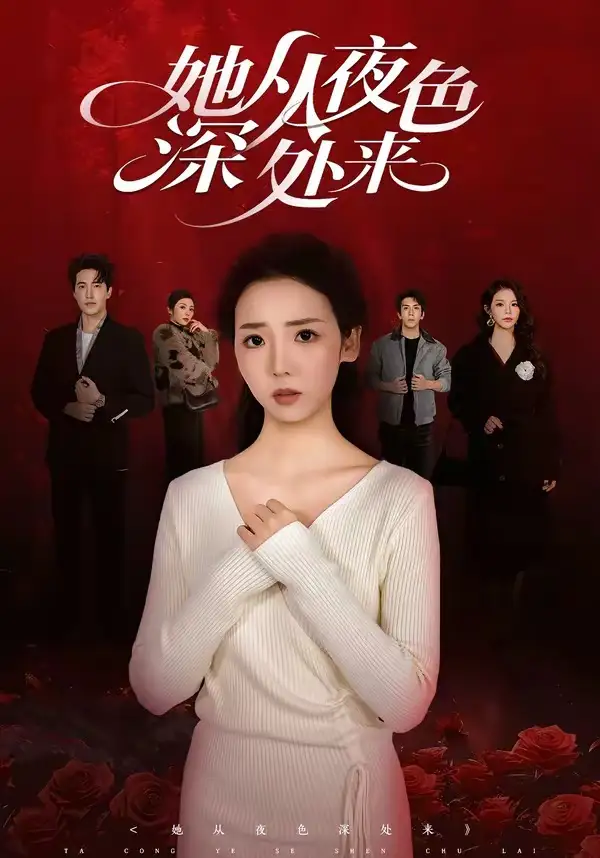 她從夜色深處來海報