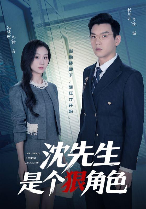 沈先生是個狠角色海報
