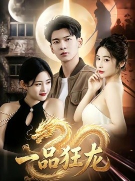 一品狂龍海報
