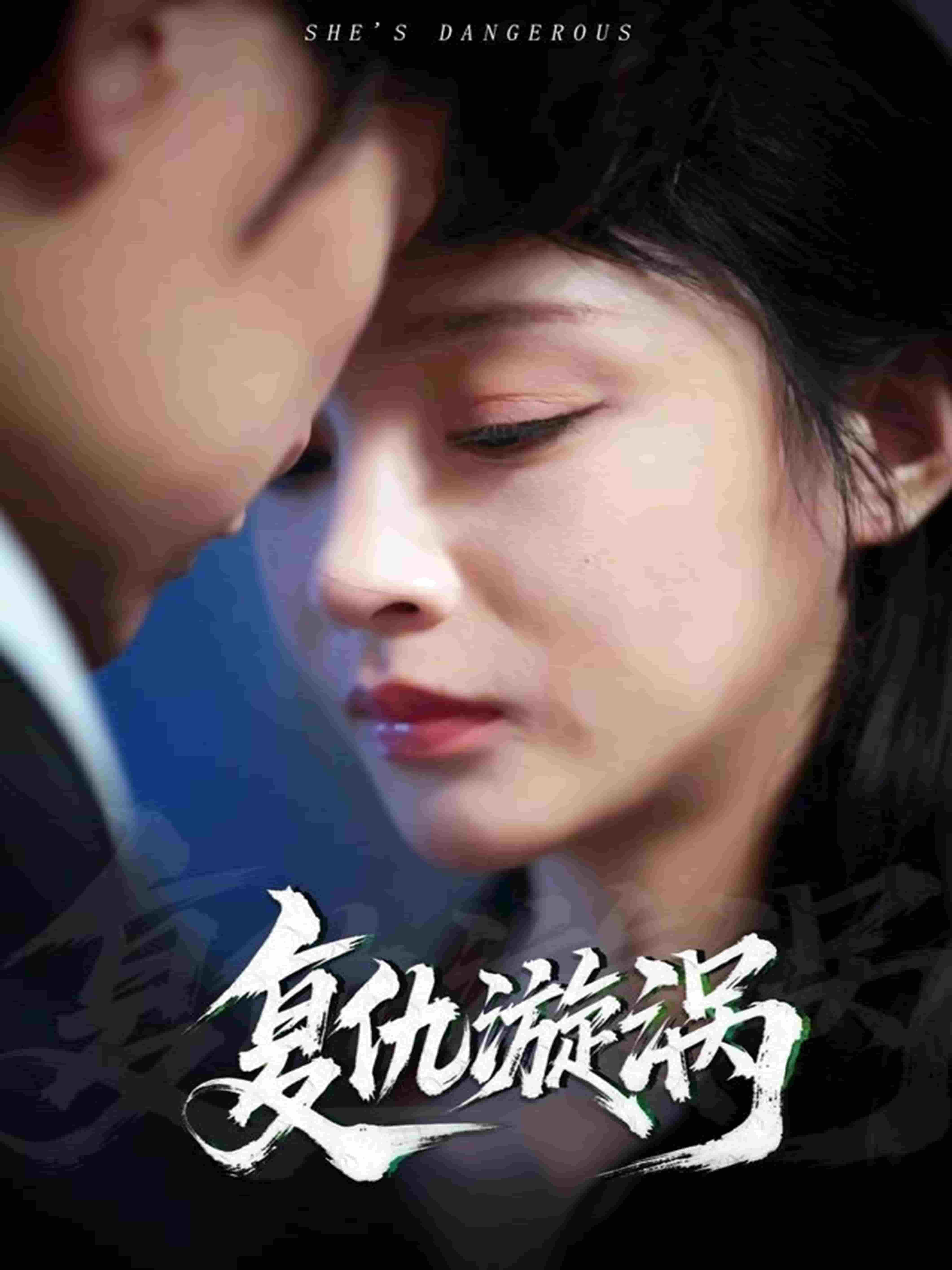 復仇漩渦海報