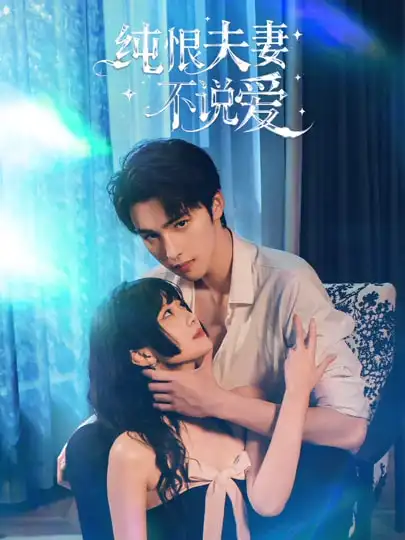 純恨夫妻不說愛海報