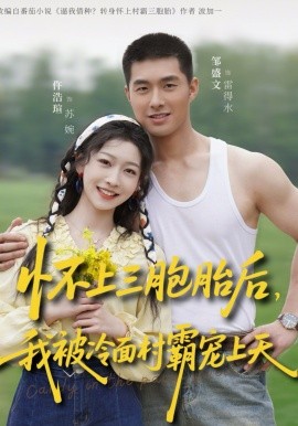 懷上三胞胎後,我被冷麵村霸寵上天海報