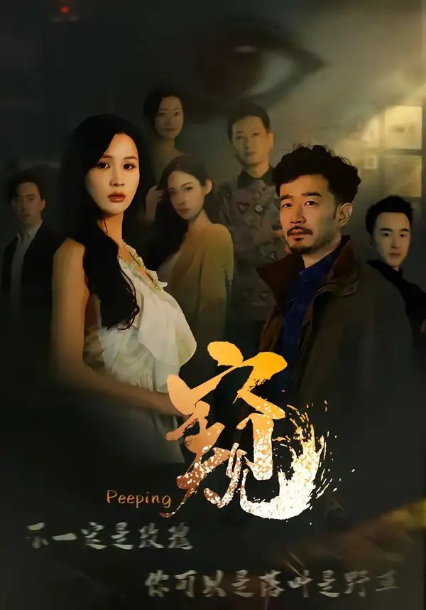 窺 窺伺海報