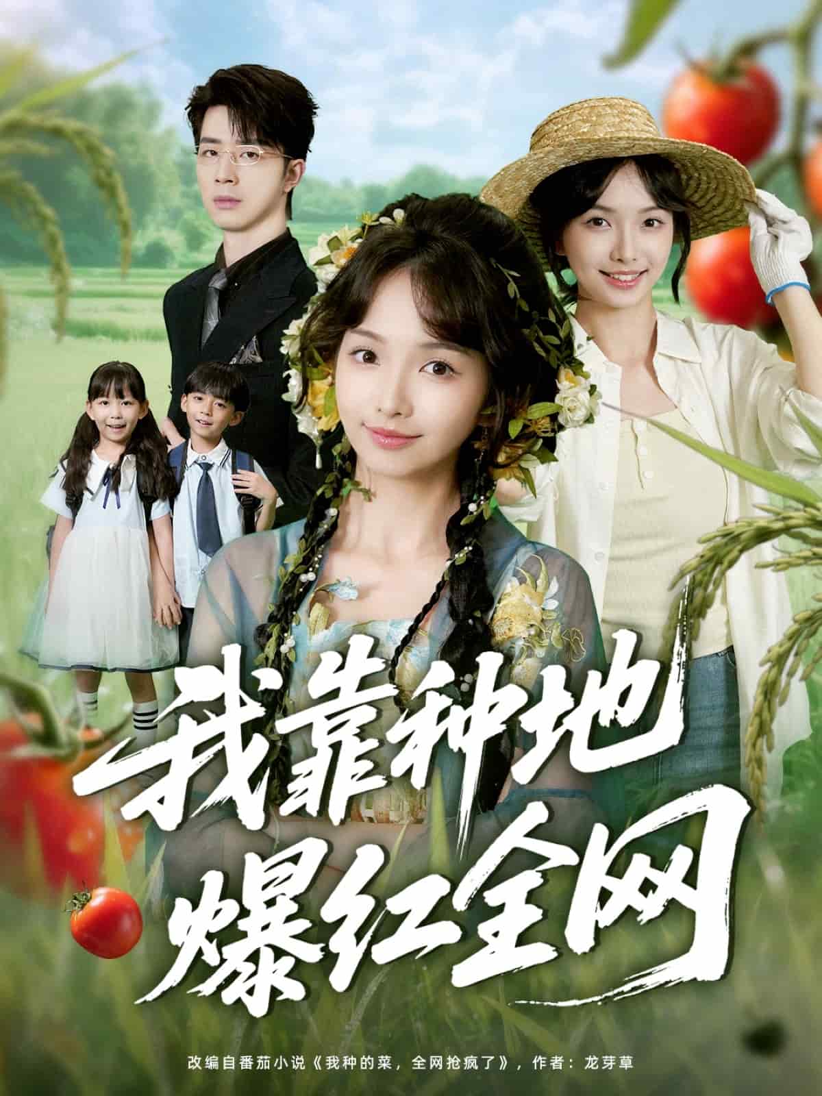 我靠種地爆紅全網海報