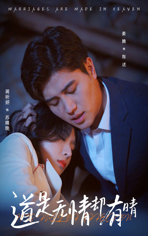 道是無情卻有晴海報