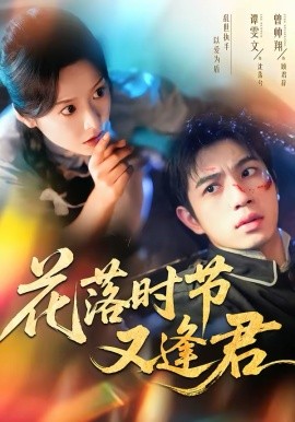 花落時節又逢君海報