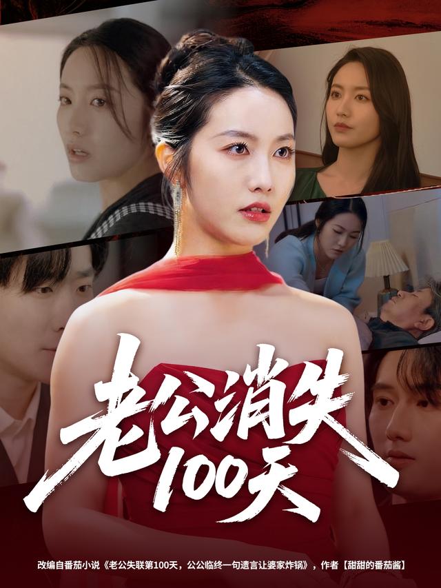 老公消失100天海報