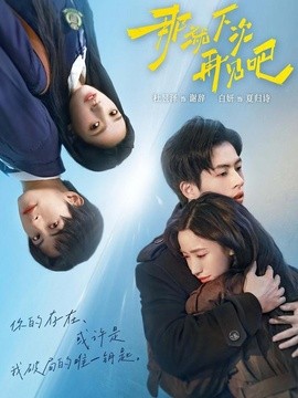 那就下次再見吧海報