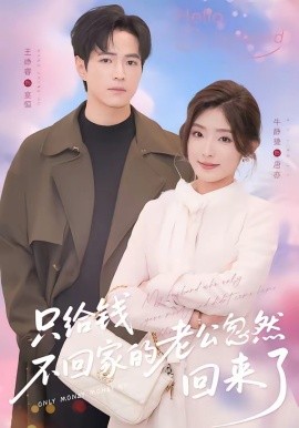 只給錢不回家的老公忽然回來了海報