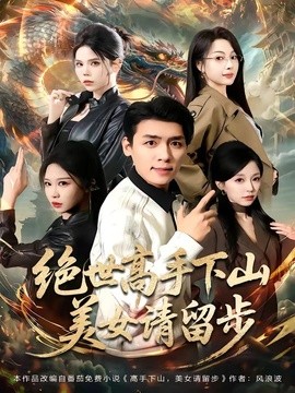絕世高手下山,美女請留步海報