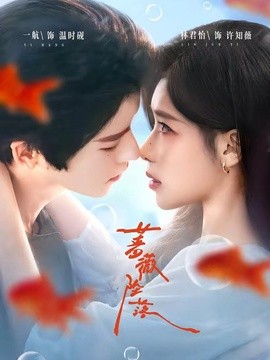 薔薇墜落海報