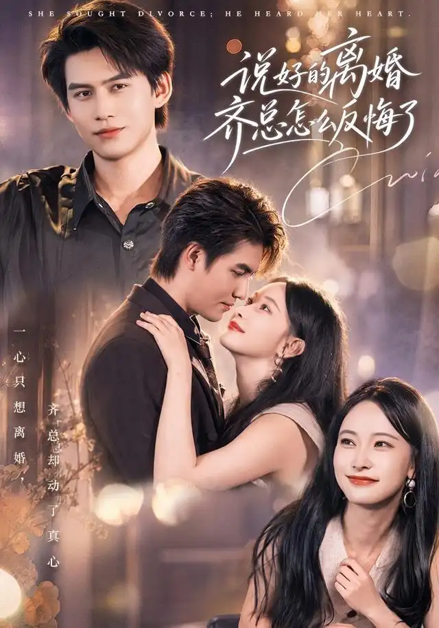 說好的離婚齊總怎麼反悔了海報