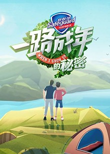 一路成年的秘密海報
