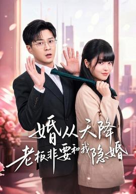 婚從天降老闆非要和我隱婚海報