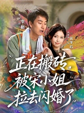 正在搬磚,被宋小姐拉去閃婚了海報