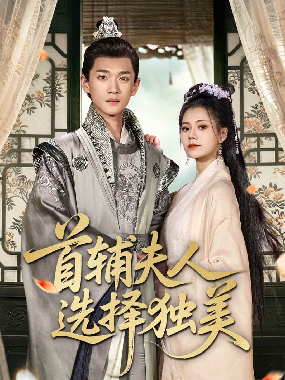首輔夫人選擇獨美海報