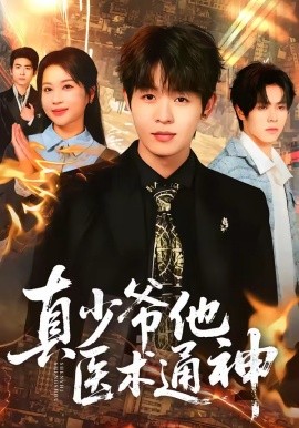 真少爺他醫術通神海報