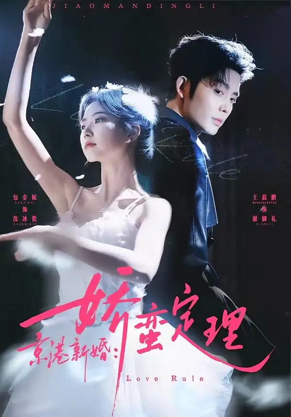 京港新婚:嬌蠻定理海報