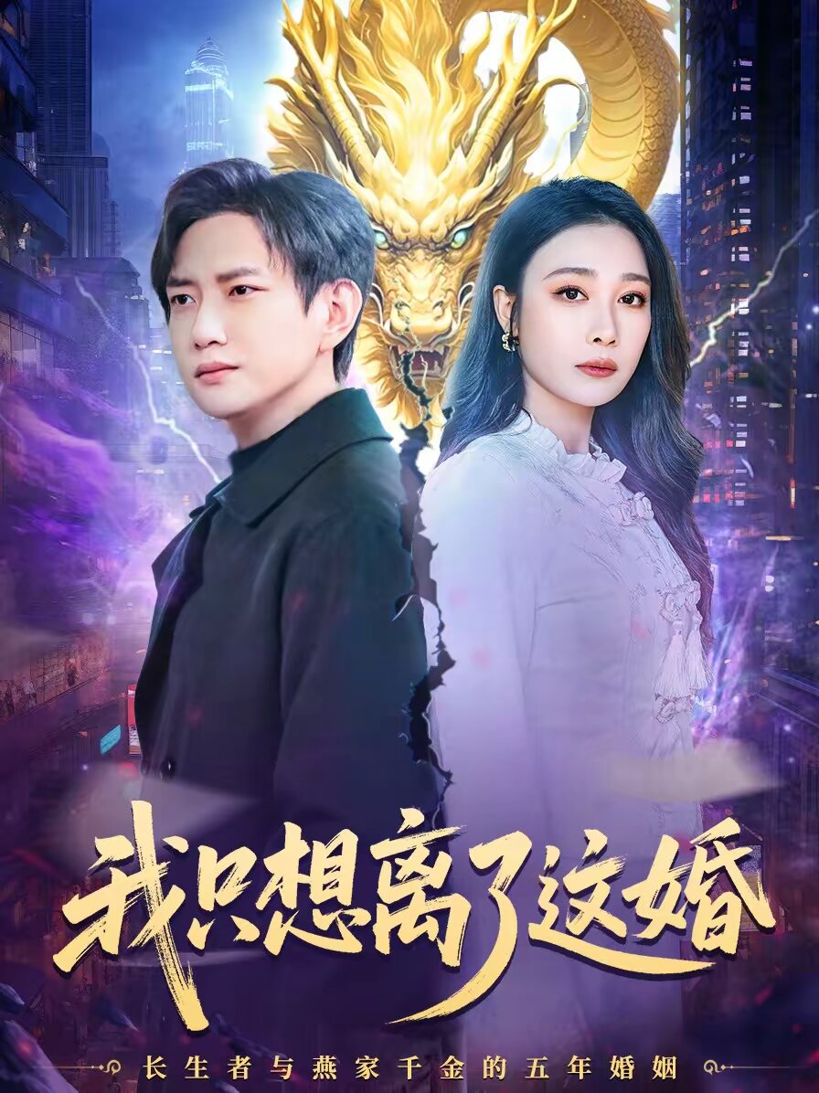 我只想離了這婚海報
