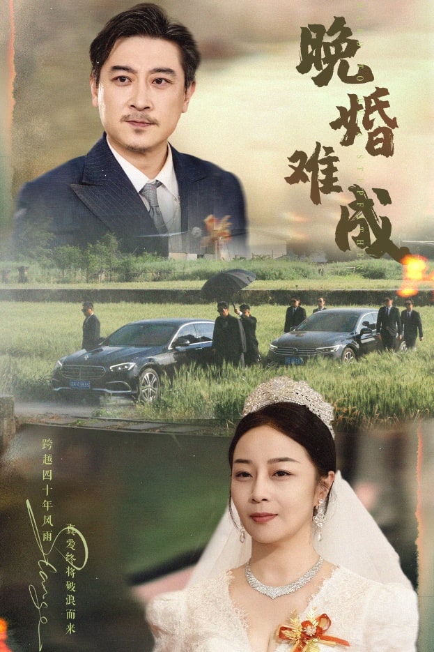 晚婚難成海報