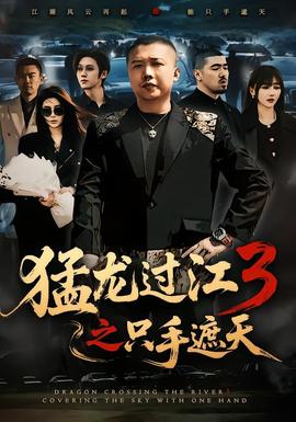 猛龍過江3之隻手遮天海報