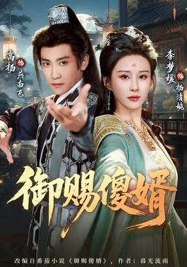 御賜傻婿海報