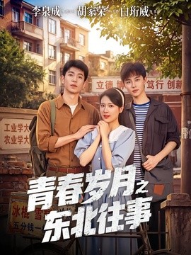 青春歲月之東北往事海報