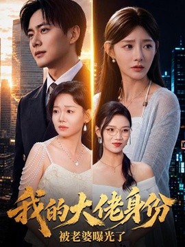我的大佬身份被老婆曝光了海報