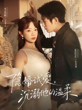 隱婚試愛,沉溺他的溫柔海報