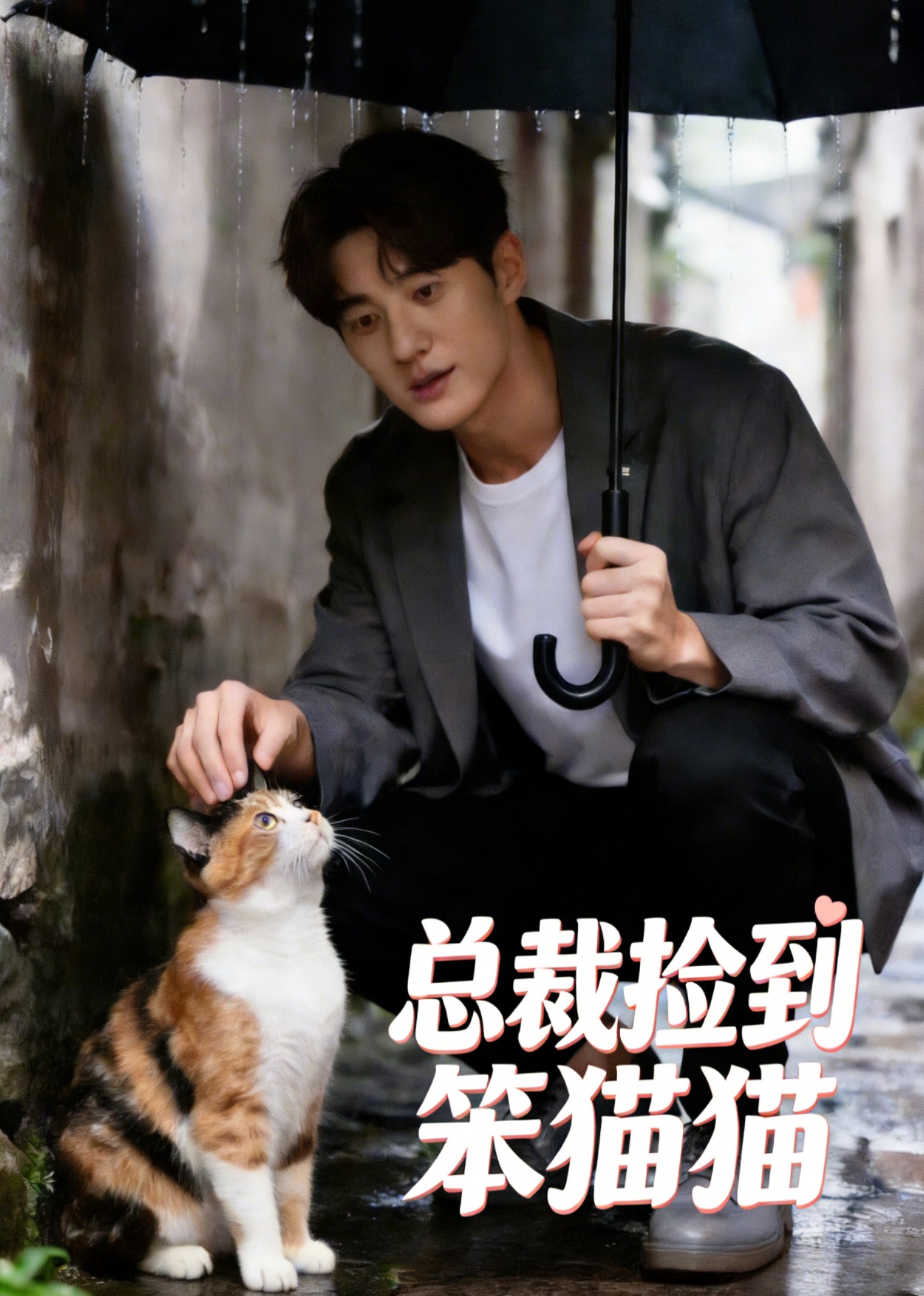 總裁撿到笨貓貓海報