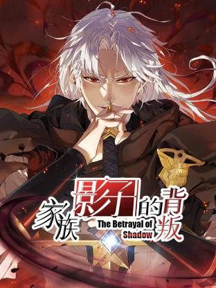 家族影子的背叛海報
