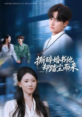 撕碎婚書他卻踏塵而來海報