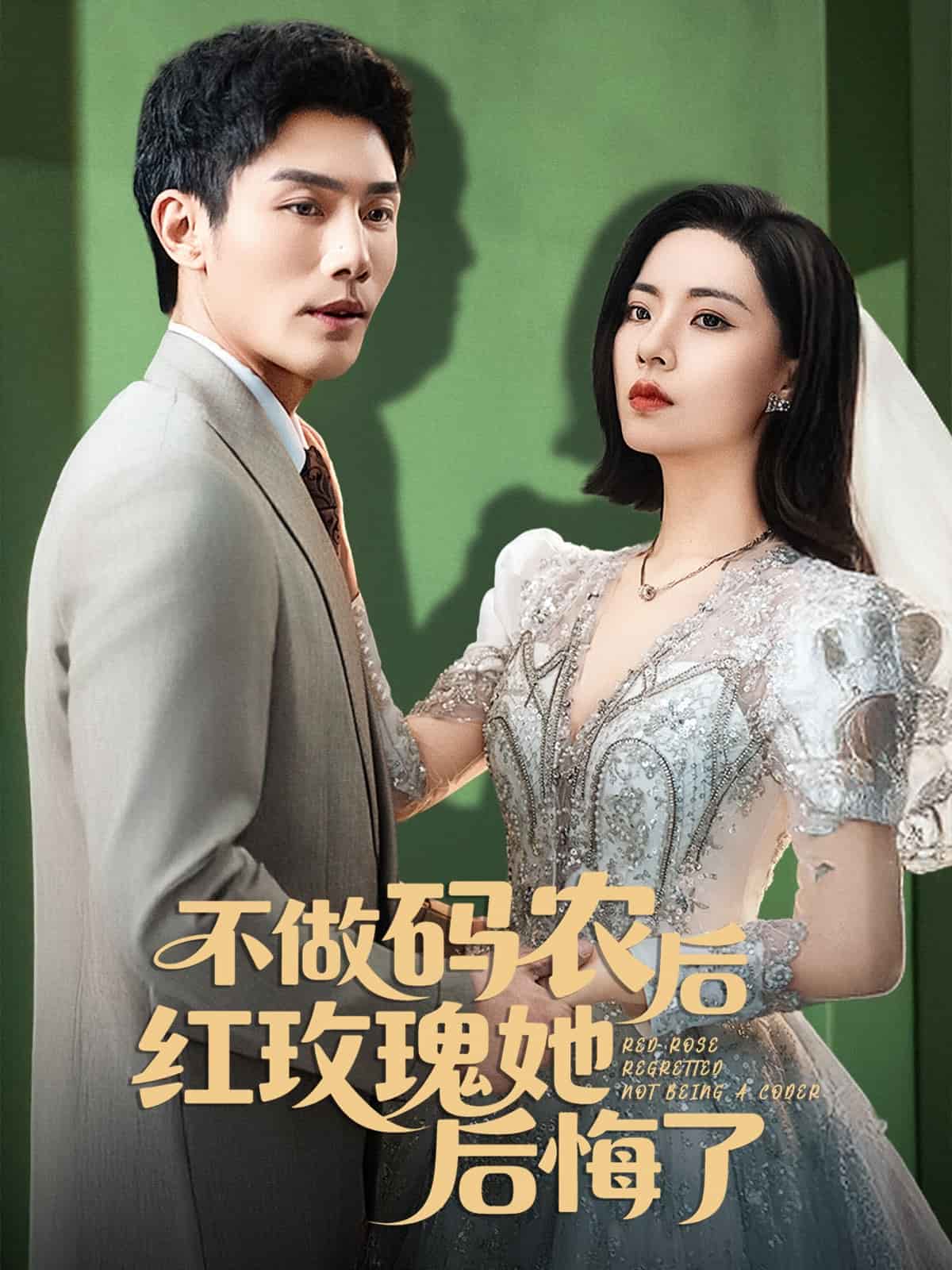 不做碼農後紅玫瑰她後悔了海報