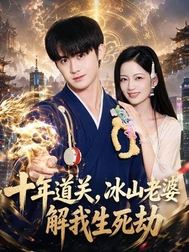 十年道關,冰山老婆解我生死劫海報