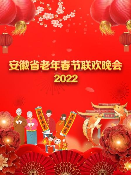 安徽省老年春節聯歡晚會海報