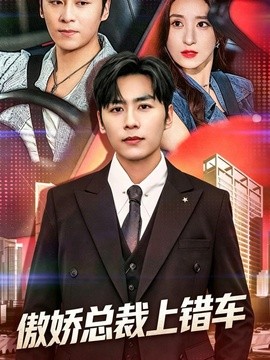 傲嬌總裁上錯車海報