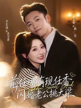 前任哪有現任香,閃婚老公挑大梁海報