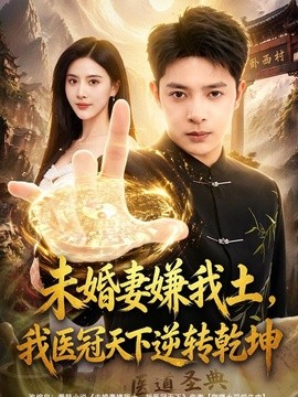 未婚妻嫌我土,我醫冠天下逆轉乾坤海報
