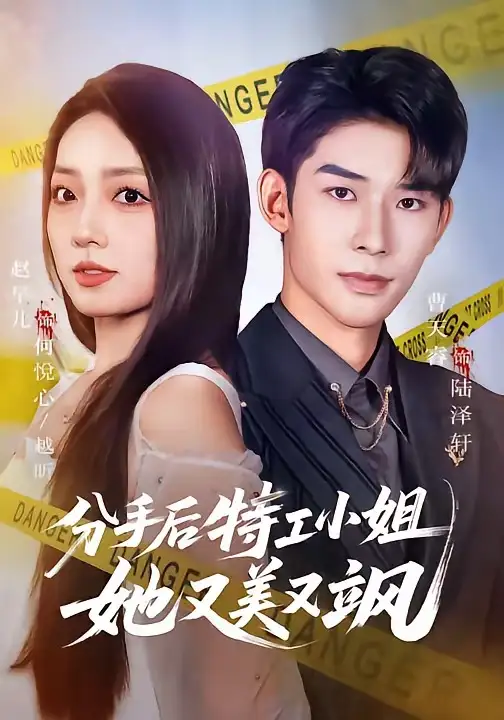 分手後特工小姐她又美又颯海報